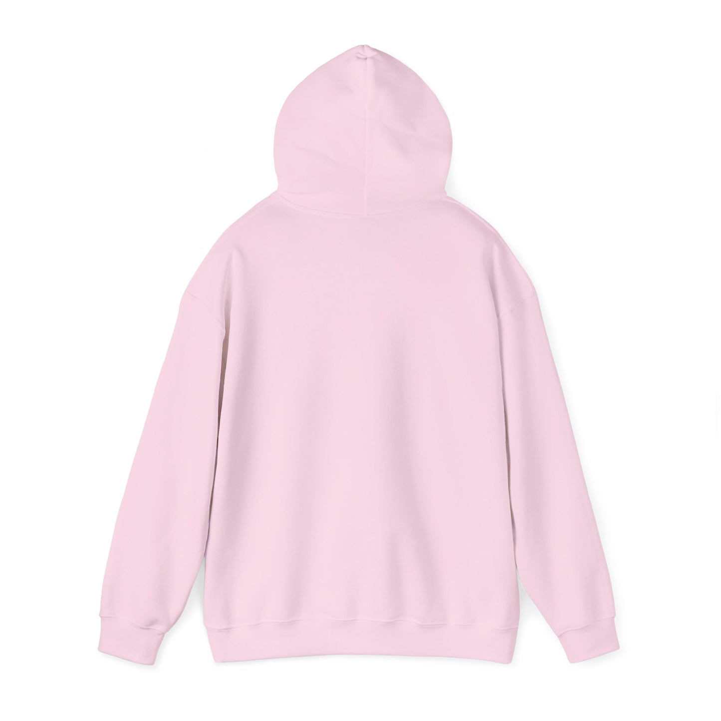 Eco! Hooded Sweatshirt