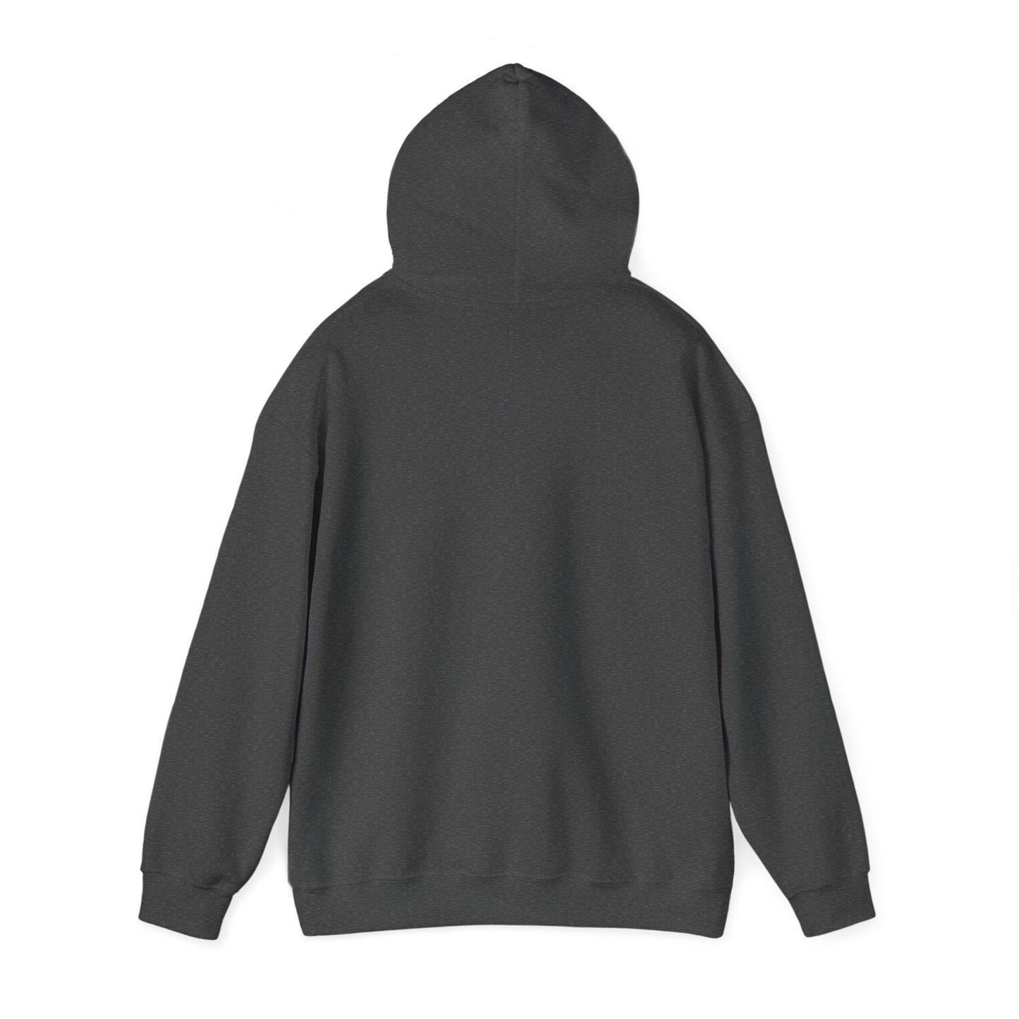 Eco! Hooded Sweatshirt