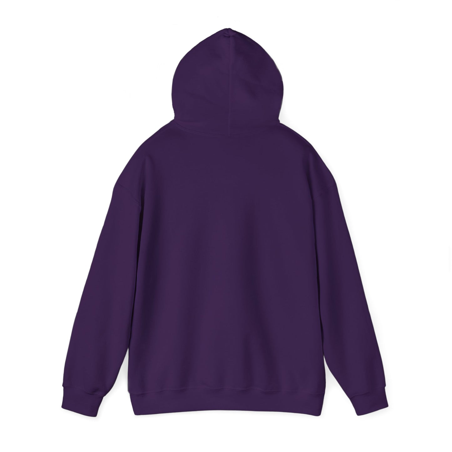 Earth Hooded Sweatshirt