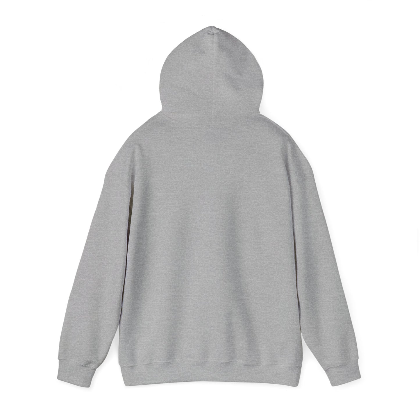 Earth Hooded Sweatshirt