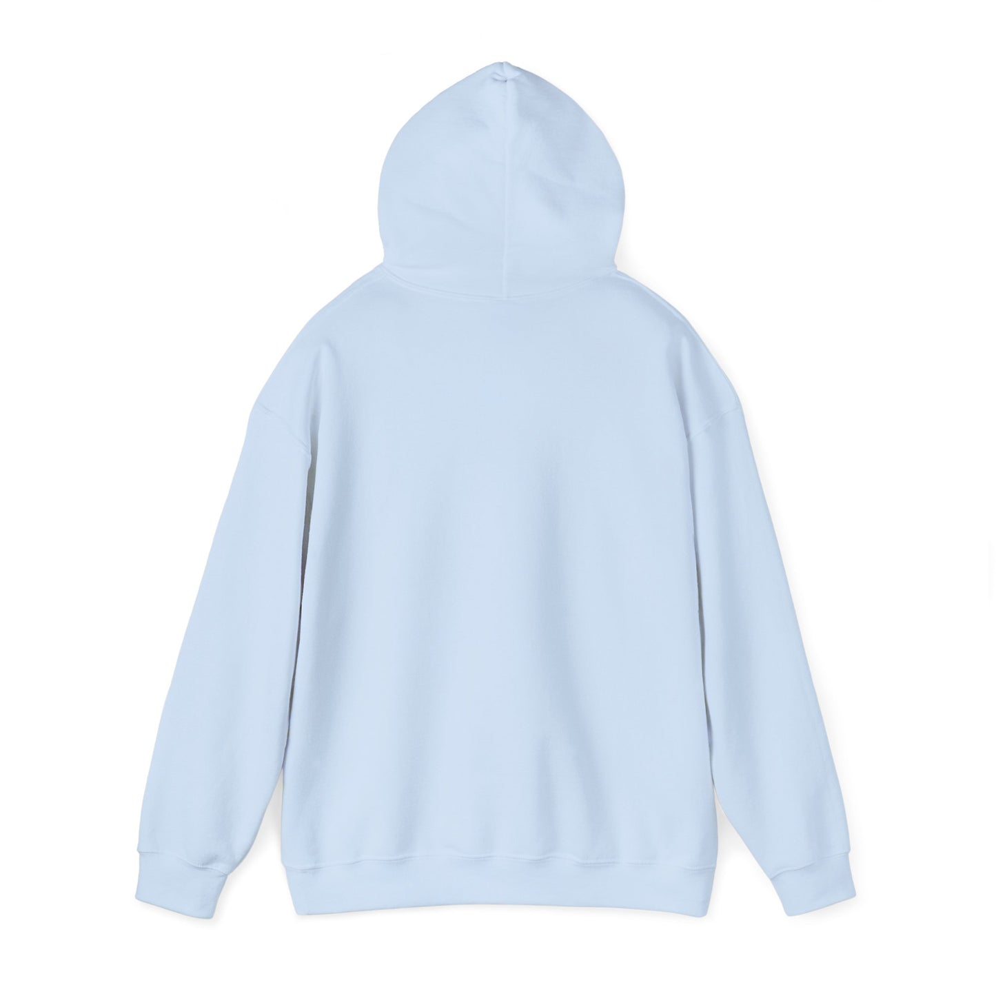 Earth Hooded Sweatshirt